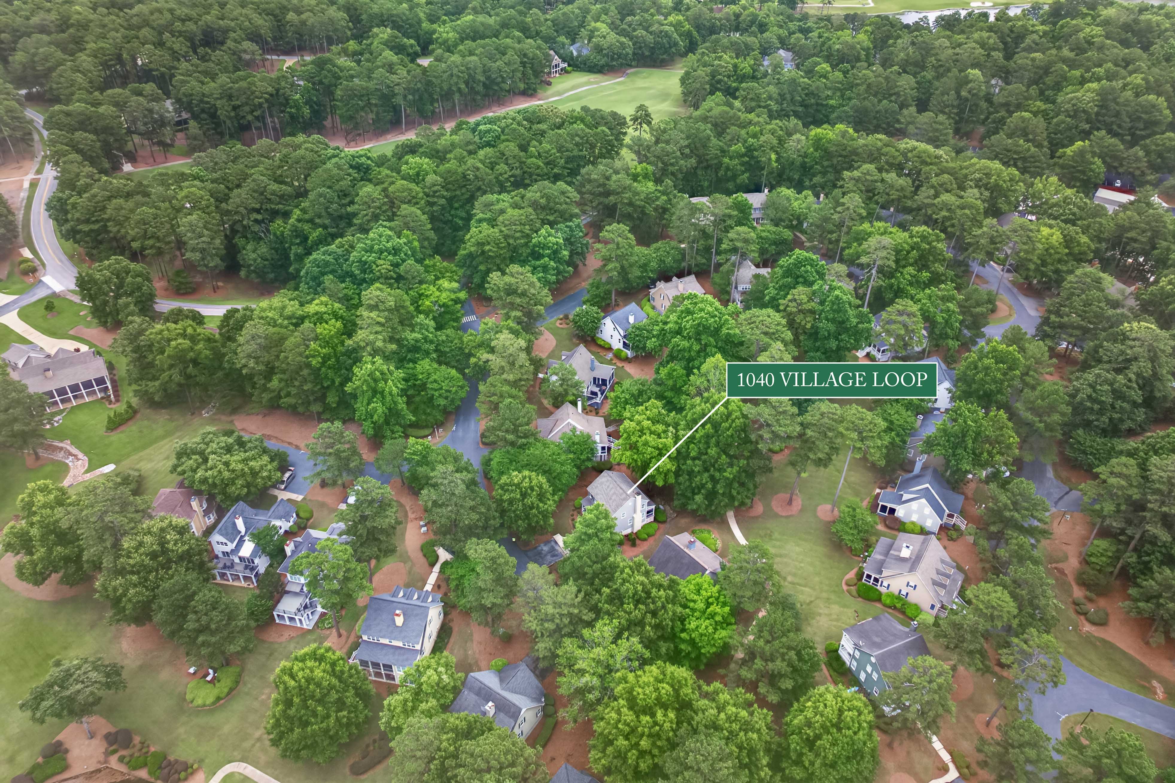 1040 Village Loop image 29